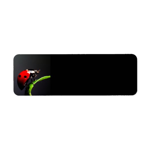 Ladybug Etiket (Voorkant)