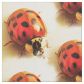 Ladybug Fabric Stof (Close Up)