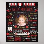 Ladybug First Birthday chalkboard Poster (Voorkant)
