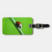 Ladybug foto bagagelabel (Voorkant horizontaal)