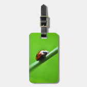 Ladybug foto bagagelabel (Voorkant verticaal)