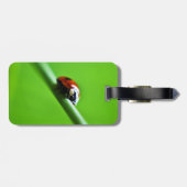 Ladybug foto bagagelabel (Achterkant horizontaal)