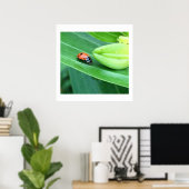 Ladybug-foto Poster (Thuiskantoor)
