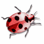 Ladybug Fotobeeldje Sleutelhanger<br><div class="desc">Ladybug is een Pop Art-ontwerp</div>