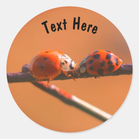 Ladybug Friends Natuur Gepersonaliseerd Ronde Sticker (Voorkant)