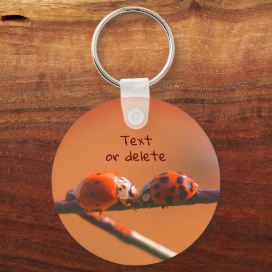 Ladybug Friends Natuur Gepersonaliseerd Sleutelhanger (Achterkant)