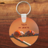 Ladybug Friends Natuur Gepersonaliseerd Sleutelhanger (Voorkant)