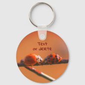 Ladybug Friends Natuur Gepersonaliseerd Sleutelhanger (Achterkant)