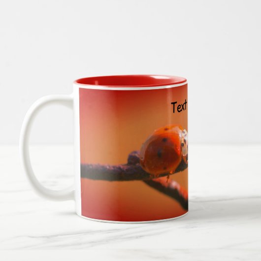 Ladybug Friends Natuur Gepersonaliseerd Tweekleurige Koffiemok (Links)