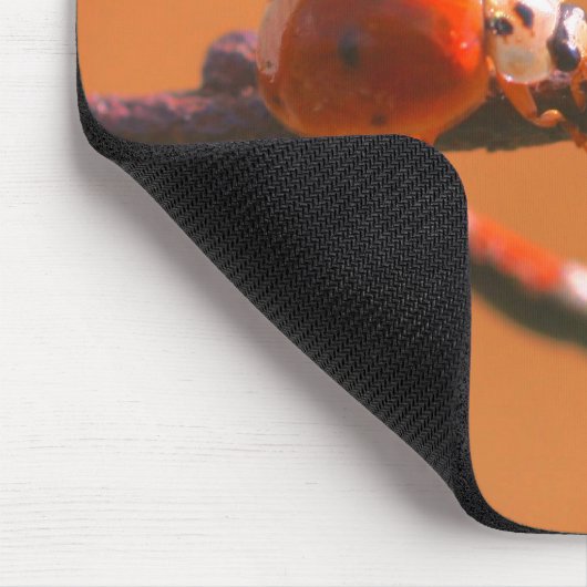 Ladybug Friends Natuur Muismat (Hoek)