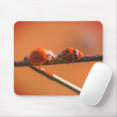 Ladybug Friends Natuur Muismat (Met muis)