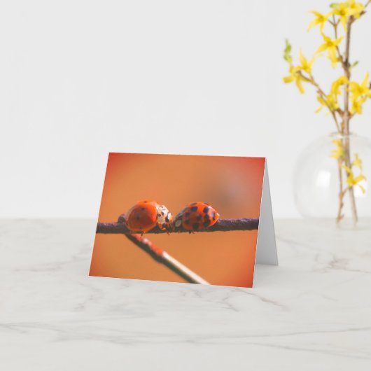 Ladybug Friends Natuur Note Kaart (Gele Bloem)