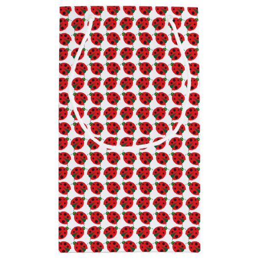 Ladybug Gift Bag Klein Cadeauzakje (Achterkant)