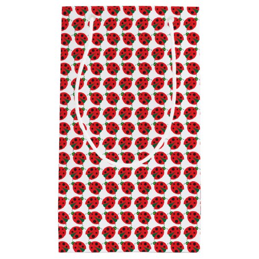 Ladybug Gift Bag Klein Cadeauzakje (Voorkant)