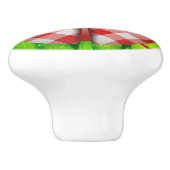 Ladybug gras gingham check schattig rood groen wit keramische knop (Zijkant)