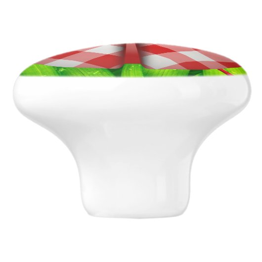 Ladybug gras gingham check schattig rood groen wit keramische knop (Zijkant)