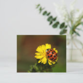 Ladybug Greetings Briefkaart (Staand voorkant)