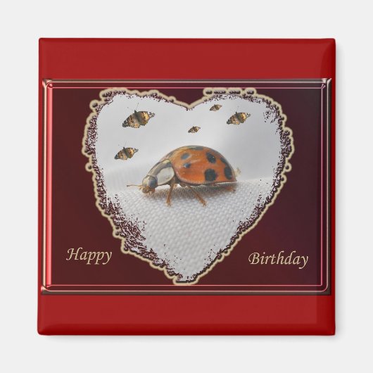 Ladybug Happy Birthday Magnet (Voorkant)
