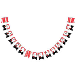 Ladybug Happy Birthday Vlaggetjes