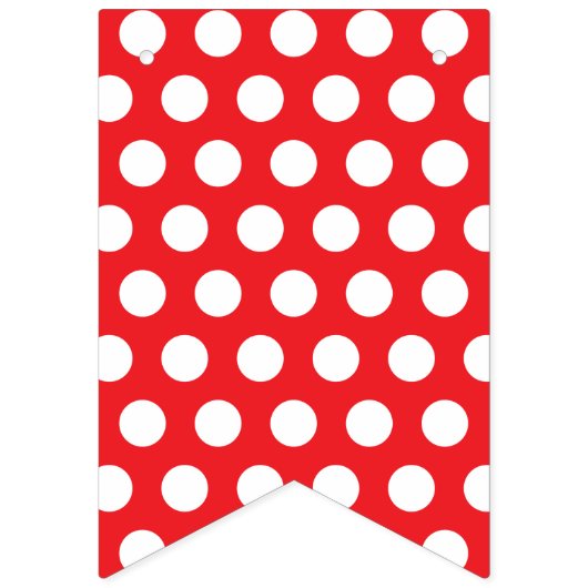 Ladybug Happy Birthday Vlaggetjes (Eerste vlag)