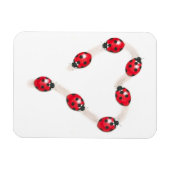 Ladybug Heart Flexi Magnet Magneet (Horizontaal)