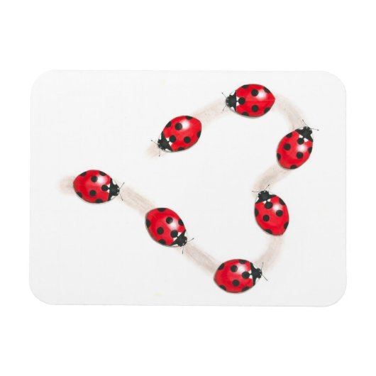 Ladybug Heart Flexi Magnet Magneet (Horizontaal)