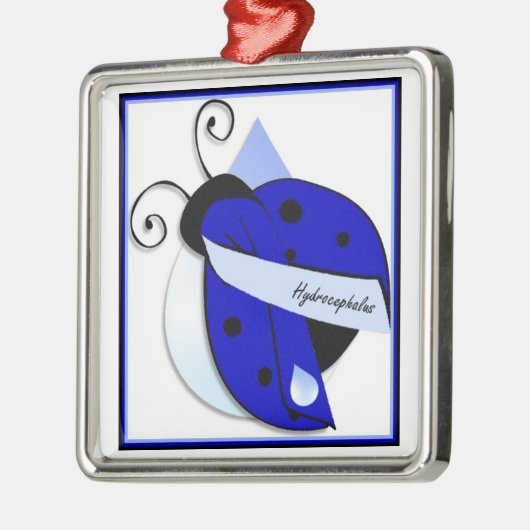 Ladybug Hydrocephalus Ornament (Links)