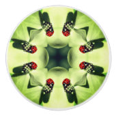 Ladybug in Dogwood Abstracte Natuur Art Keramische Knop (Voorkant)