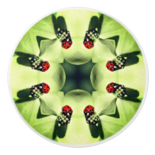 Ladybug in Dogwood Abstracte Natuur Art Keramische Knop