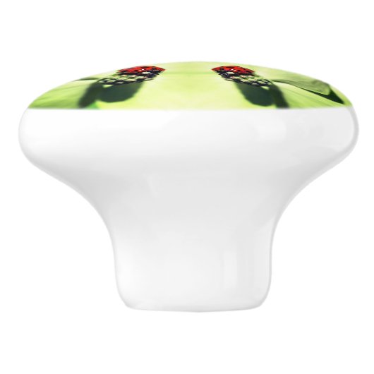 Ladybug in Dogwood Abstracte Natuur Art Keramische Knop (Zijkant)