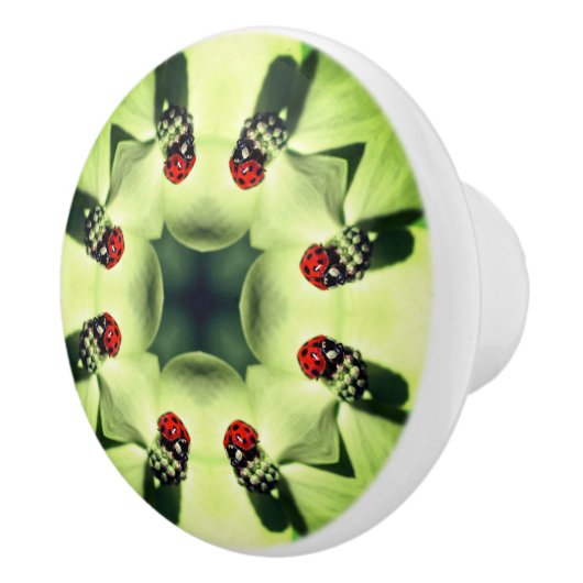 Ladybug in Dogwood Abstracte Natuur Art Keramische Knop (Rechts)