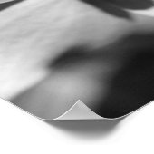 Ladybug in Dogwood Flower Black en White Poster (Hoek)