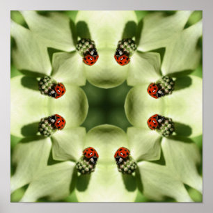 Ladybug in Dogwood Natuur Art Poster