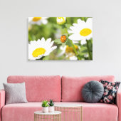Ladybug in een Daisy Garden Canvas Afdruk (Insitu (Woonkamer))