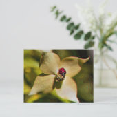 Ladybug in Flower Digital Art Photo Briefkaart (Staand voorkant)