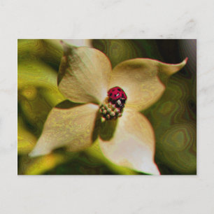Ladybug in Flower Digital Art Photo Briefkaart