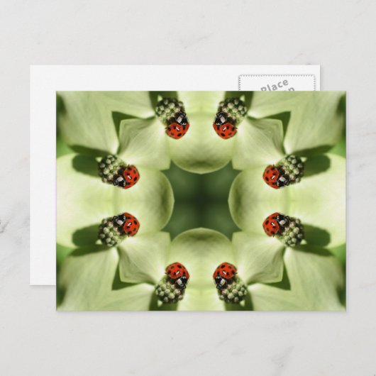 Ladybug in Flower Kaleidoscope Art Briefkaart (Voorkant / Achterkant)