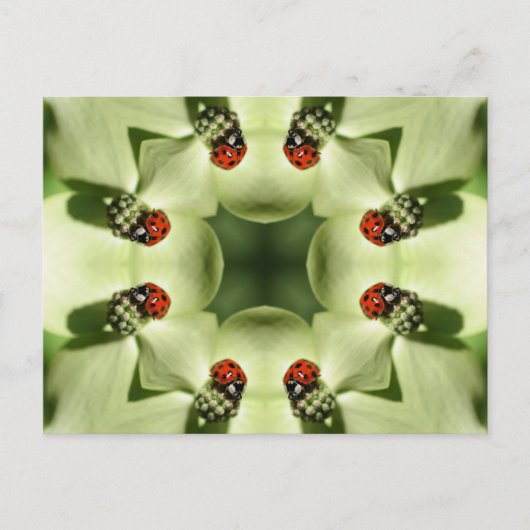 Ladybug in Flower Kaleidoscope Art Briefkaart (Voorkant)