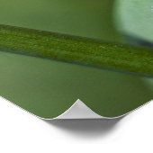 Ladybug in Grass close up Poster (Hoek)