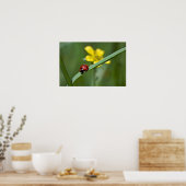 Ladybug in Grass close up Poster (Keuken)