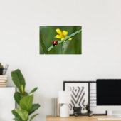 Ladybug in Grass close up Poster (Thuiskantoor)
