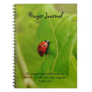 Ladybug in Green Leaves Faith Prayer Journal Notitieboek
