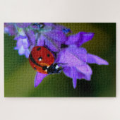 Ladybug in lavendepuzzel legpuzzel (Horizontaal)