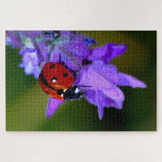 Ladybug in lavendepuzzel legpuzzel (Horizontaal)