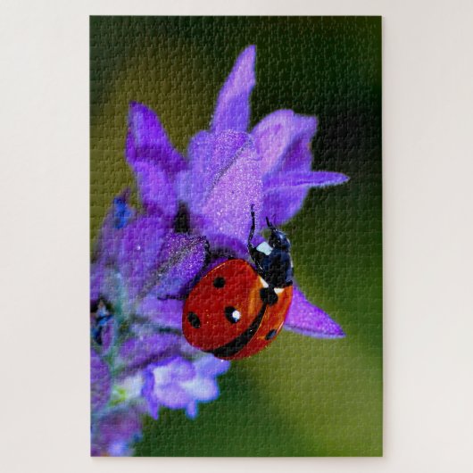 Ladybug in lavendepuzzel legpuzzel (Verticaal)