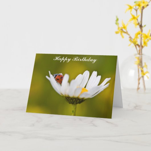 Ladybug in Oxeye Daisy Birthday Card Kaart (Gele Bloem)