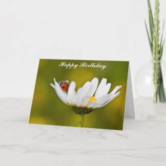 Ladybug in Oxeye Daisy Birthday Card Kaart