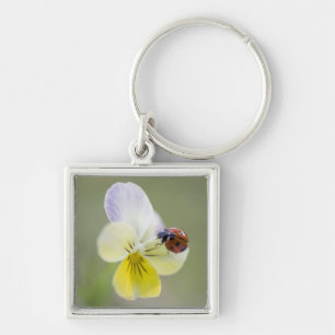 Ladybug in pansy, Biei, Hokkaido, Japan Sleutelhanger
