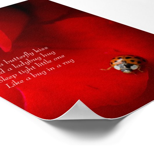 Ladybug in Red Rose Ladybug Hug Child's Poster (Hoek)