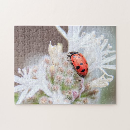 Ladybug in Silverleaf Phacelia op Mt Shasta Puzzle Legpuzzel (Horizontaal)